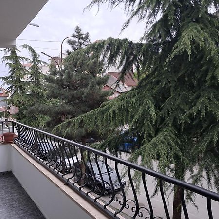 New Apartament Pogradaş Dış mekan fotoğraf