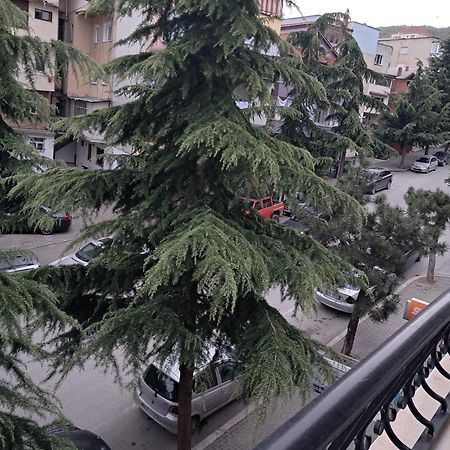 New Apartament Pogradaş Dış mekan fotoğraf