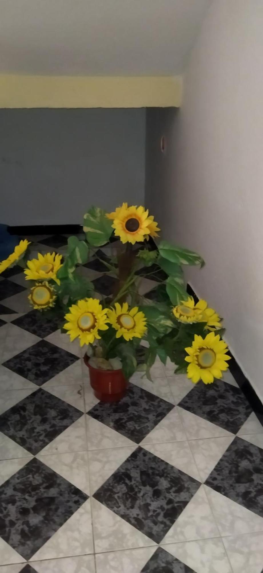 New Apartament Pogradaş Dış mekan fotoğraf