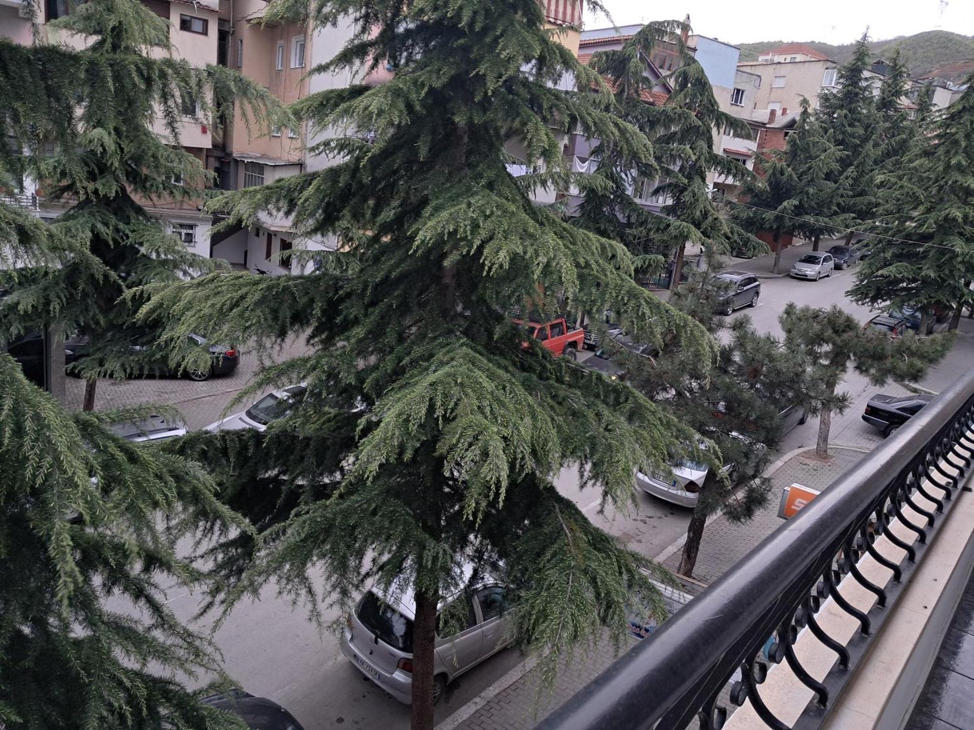 New Apartament Pogradaş Dış mekan fotoğraf
